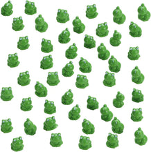 Load image into Gallery viewer, 🐸Liten frosk | Utfordrende gjemmefrosk