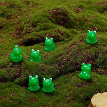 Load image into Gallery viewer, 🐸Liten frosk | Utfordrende gjemmefrosk