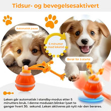 Load image into Gallery viewer, Interaktiv smart rullende ball for kjæledyr