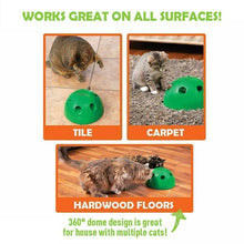Load image into Gallery viewer, Peek-A-Boo Cat Toy
