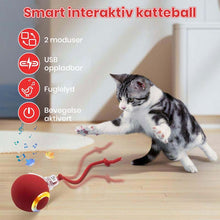 Load image into Gallery viewer, Interaktiv oppladbar ball katte- og hundeleke