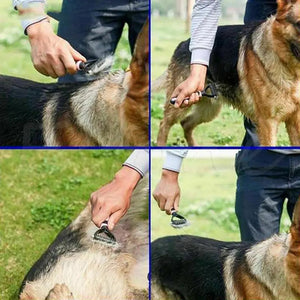 Kjæledyrsikker dematteringskam