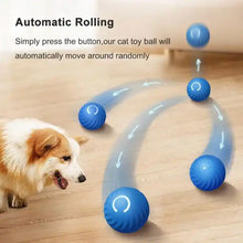 Load image into Gallery viewer, Automatic smart teasing dog ball that can't be bitten
