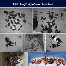 Load image into Gallery viewer, Kraftig sikker kakerlakkavvisende essensiell olje