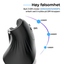 Load image into Gallery viewer, Ergonomisk mus