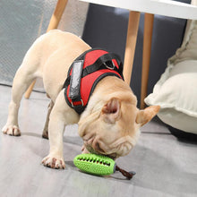 Load image into Gallery viewer, DOG TOOTHBRUSH TOY