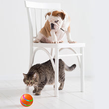 Load image into Gallery viewer, Interactive Dog Toys Dog Ball