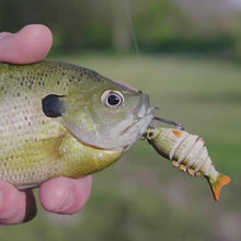 Load image into Gallery viewer, Tiny Fishing Lures
