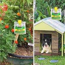 Load image into Gallery viewer, Hirundo Non-Toxic Disposable Trap Catcher