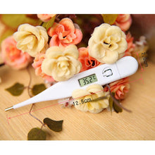 Load image into Gallery viewer, Digital Thermometer