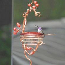 Load image into Gallery viewer, Pre-Sale>>Red Berries Hummingbird Feeder