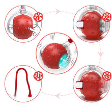 Load image into Gallery viewer, Interactive Pet Toy Ball