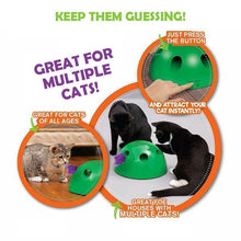 Load image into Gallery viewer, Peek-A-Boo Cat Toy