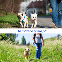 Load image into Gallery viewer, Dobbel hund uten flokebånd
