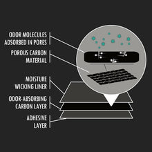 Load image into Gallery viewer, Odor Eliminating Shoe Inserts, 1 Pair