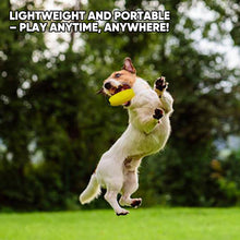 Load image into Gallery viewer, Mini Flying Disc