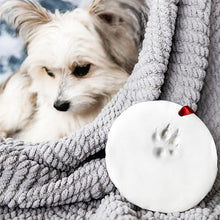 Load image into Gallery viewer, Clay Pet Paw Impression Moulding Kit