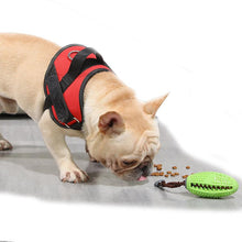 Load image into Gallery viewer, DOG TOOTHBRUSH TOY