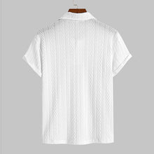 Load image into Gallery viewer, Regular Fit Plain Textured Polo Shirt