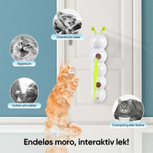 Load image into Gallery viewer, 🐱Interaktivt elektrisk kattelarve-leketøy