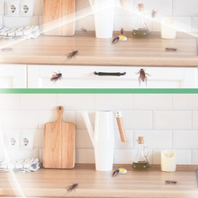 Load image into Gallery viewer, Roach Killing Bait Station