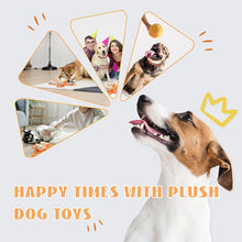 Load image into Gallery viewer, Orange Hide-and-Seek Plush Dog Toy