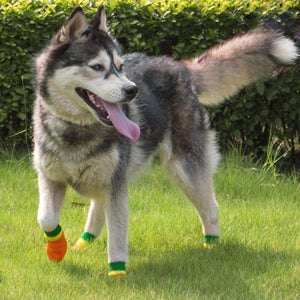 Pet Dog Anti-slip & Waterproof Boots, 1 pair