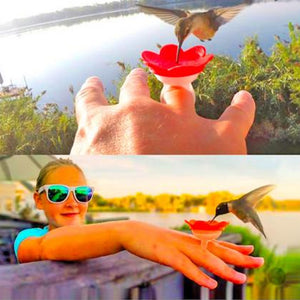 Wearable Hummingbird Feeding Mask