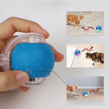 Load image into Gallery viewer, Interactive Pet Toy Ball