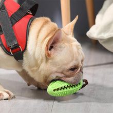 Load image into Gallery viewer, DOG TOOTHBRUSH TOY