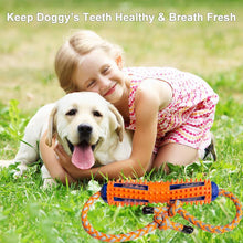 Load image into Gallery viewer, Magoloft ™ Dog Toothbrush ，Dog Chew Toy Tooth Cleaner