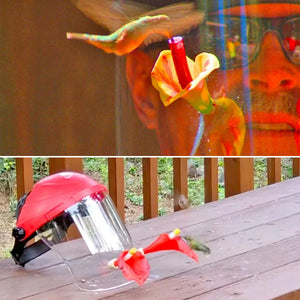 Wearable Hummingbird Feeding Mask