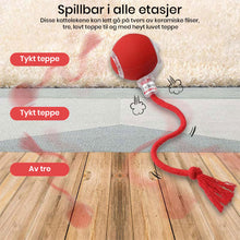 Load image into Gallery viewer, Interaktiv oppladbar ball katte- og hundeleke