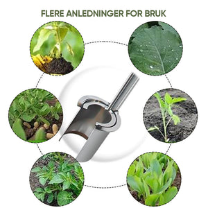 Løkplante Verktøy