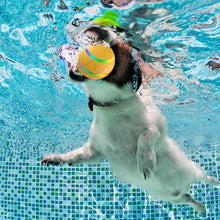 Load image into Gallery viewer, Interactive Dog Toys Dog Ball