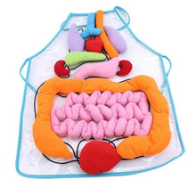 Load image into Gallery viewer, Body Anatomy Apron - An Educational Toy for Children