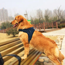 Load image into Gallery viewer, No-Pull dog harness, adjustable harness for medium and large dogs