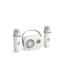 Load image into Gallery viewer, Mini Karaoke Machine With Wireless Microphone