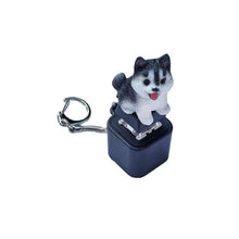 Load image into Gallery viewer, Rechargeable Sound &amp; Light Fidget Toy Keychain