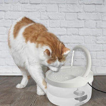 Load image into Gallery viewer, Cat automatic drinking bowl