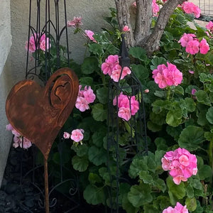 A Rusted Heart in the Garden