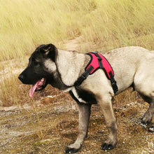 Load image into Gallery viewer, No-Pull dog harness, adjustable harness for medium and large dogs