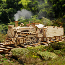 Load image into Gallery viewer, Super Wooden Mechanical Model Puzzle