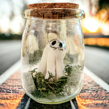 Load image into Gallery viewer, Halloween Decoration: Pet Ghost In A Jar