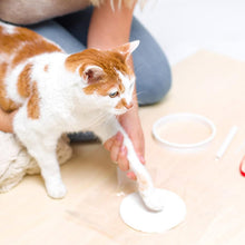 Load image into Gallery viewer, Clay Pet Paw Impression Moulding Kit