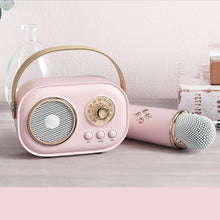 Load image into Gallery viewer, Mini Karaoke Machine With Wireless Microphone