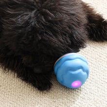 Load image into Gallery viewer, Interaktiv smart rullende ball for kjæledyr