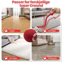 Load image into Gallery viewer, Interaktiv oppladbar ball katte- og hundeleke