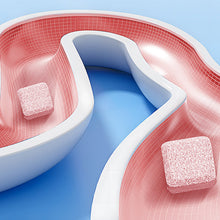 Load image into Gallery viewer, Toilet cleaning effervescent tablets - 12 Tablets