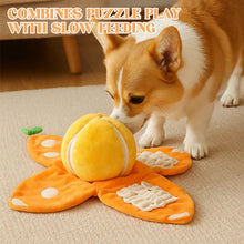 Load image into Gallery viewer, Orange Hide-and-Seek Plush Dog Toy